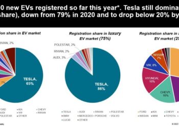 Tesla Leads EV Market Share, But Rivals' Cheaper Models Are Gaining