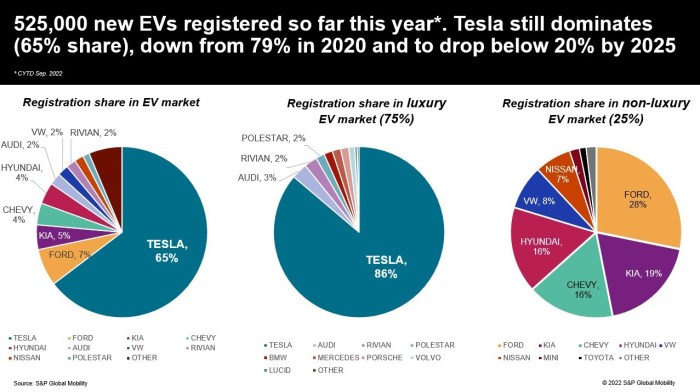 Tesla Leads EV Market Share, But Rivals' Cheaper Models Are Gaining