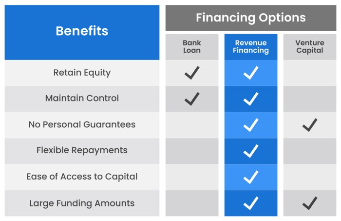 A Guide to Revenue-based Financing in Venture Capital | Toptal®