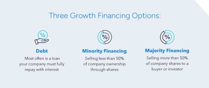 Debt vs Equity: 3 Growth Financing Options for Software Companies ...